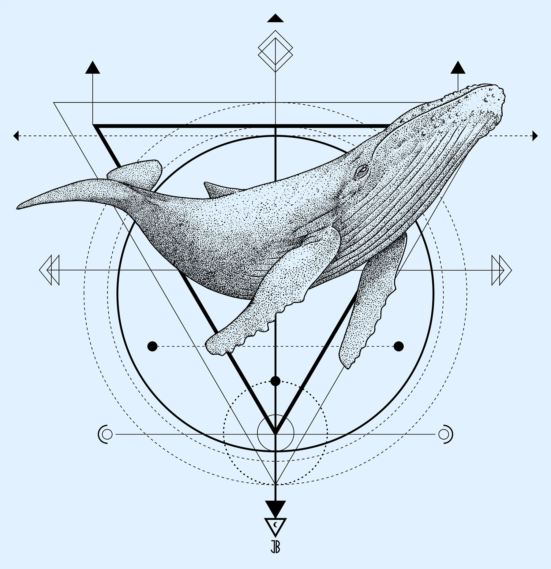 baleine