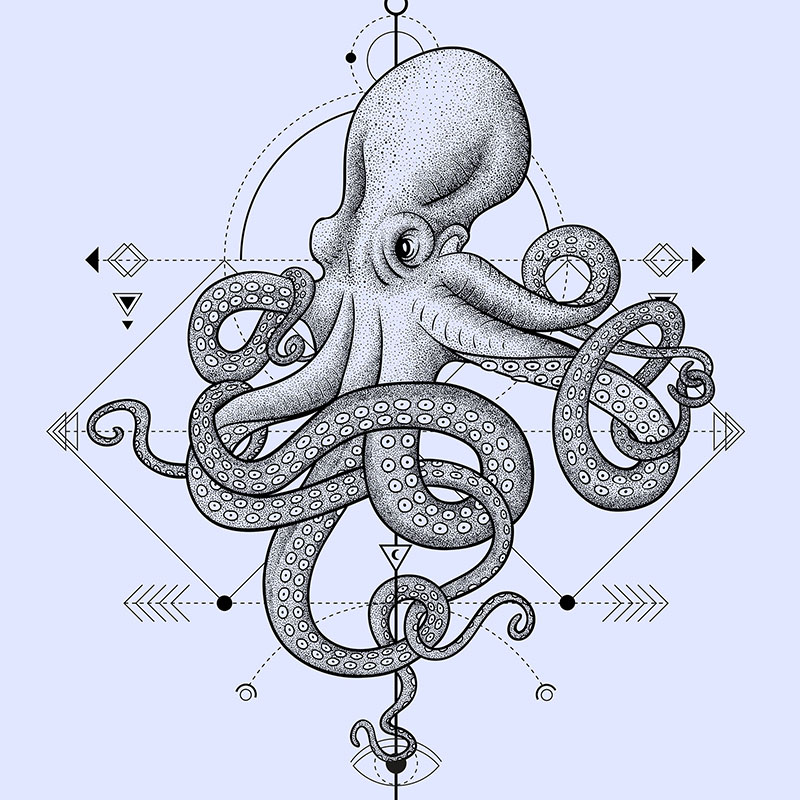 jean buchet kraken